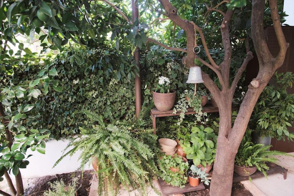 La Casa Del Jardin Candeleda Exterior foto