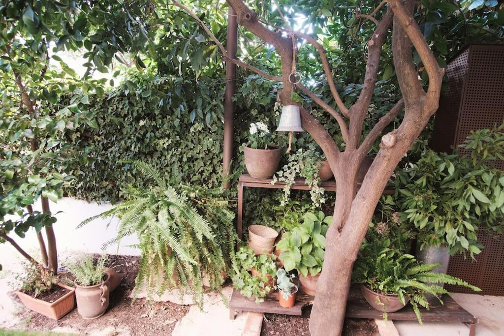 La Casa Del Jardin Candeleda Exterior foto